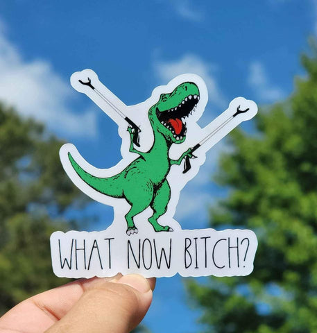 What Now Sticker | Funny T-rex Sticker