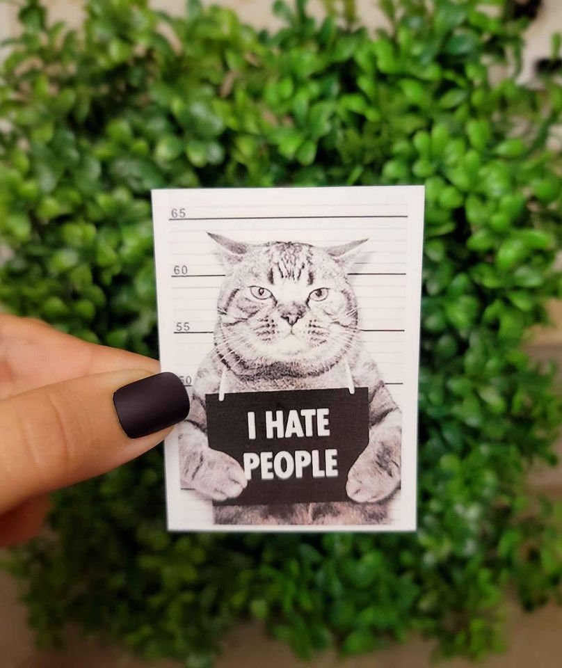 I Hate People Angry Cat Sticker | Cat Sticker